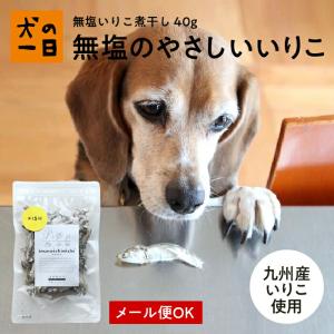 犬　おやつ　煮干し　無添加　国産　九州産・無塩いりこ煮干し 40g｜inuno1