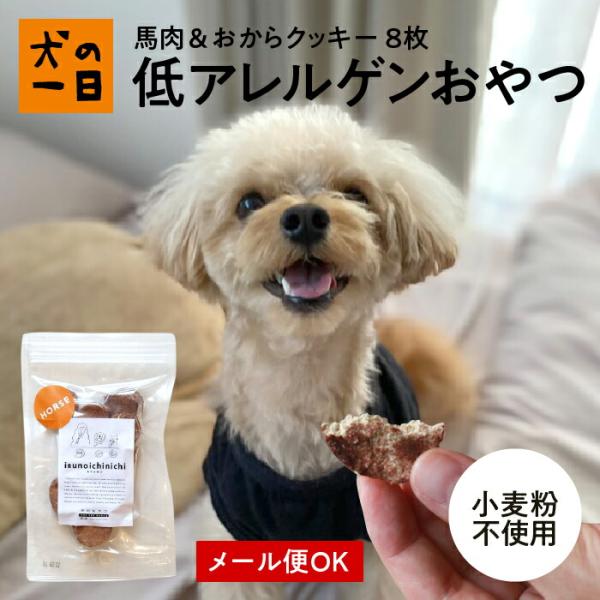 犬　おやつ　クッキー　無添加　国産　馬肉&amp;おからクッキー　8枚