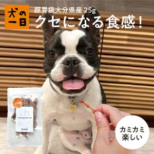カンデル KANDEL 15本入り 犬 歯磨き ガム 歯垢 デンタルケア ソフト