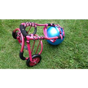 オーダーメイド小型犬用四輪車椅子 : 犬車椅子桜花 - 通販 - Yahoo