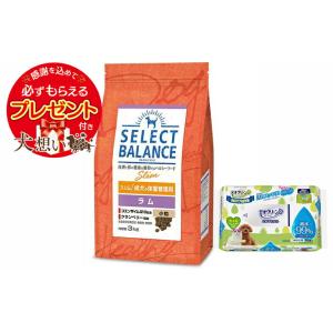 SELECT BALANCE セレクトバランス スリム ラム 小粒 成犬の体重管理用