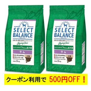 SELECT BALANCE 【選べるおやつのおまけ付き】セレクトバランス