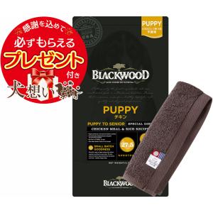 【プレゼント付】ブラックウッド パピー 20kg【犬想いオリジナル今治ハンドタオルセット】【タオルカラー モカ】【正規品】｜inuomoi