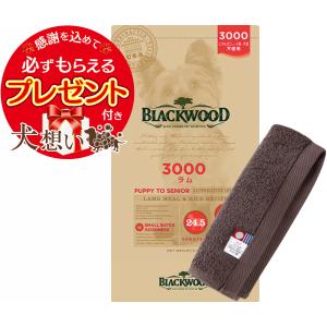 BLACKWOOD（ブラックウッド） ドッグフード 3000 20kg ラム肉 ポイント