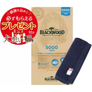 【プレゼント付】ブラックウッド 5000 20kg【犬想いオリジナル今治ハンドタオルセット】【タオルカラー ネイビー】【正規品】｜inuomoi