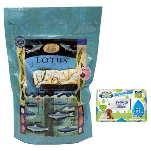 ロータスジャパン ウェルカムホーム グレインフリーチキンレシピ 800g