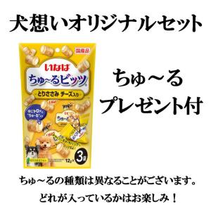 パンフェノン 120粒 2個セット【チュールプ...の詳細画像1