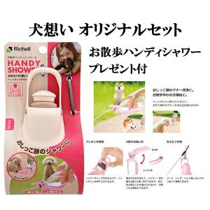 パンフェノン 120粒 2個セット【お散歩ハン...の詳細画像1