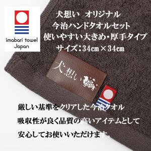 パンフェノン 120粒 2個セット【今治ハンド...の詳細画像1