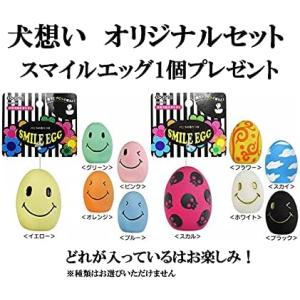 パンフェノン 120粒 2個セット【スマイルエ...の詳細画像1