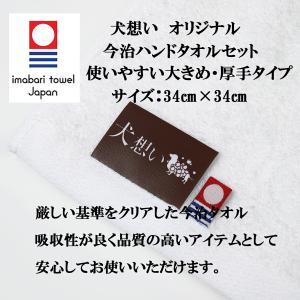 パンフェノン 120粒 2個セット【今治ハンド...の詳細画像1