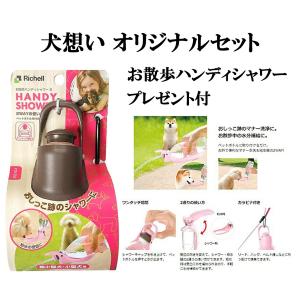 パンフェノン 120粒 【お散歩ハンディシャワ...の詳細画像1