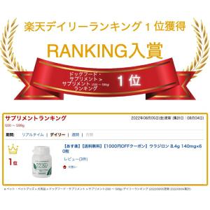 ウラジロン 8.4g 140mg×60粒 2個...の詳細画像4