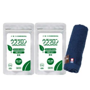 ウラジロン 8.4g 140mg×60粒 2個セ...の商品画像