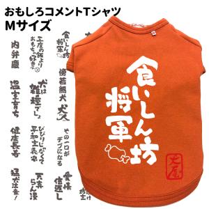 犬服（名入れ 自作 自由コメント Tシャツ Mサイズのみ オレンジ） 半裏