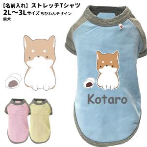 ちびわん 商品一覧 犬屋 Yahoo 店 売れ筋通販 Yahoo ショッピング