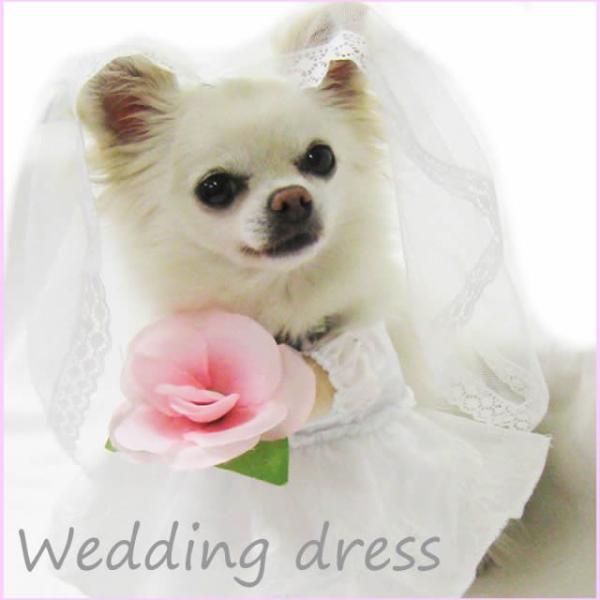売り切り 犬 服 ウェディングドレス 2足立ち 小型犬 結婚式 披露宴 ドレス 春 夏秋 フリフリ ...