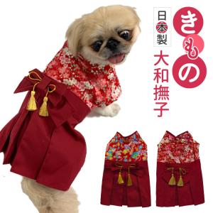 犬年賀状 コスプレの商品一覧 通販 Yahoo ショッピング