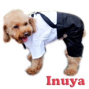 犬 タキシード ダックスの商品一覧 通販 Yahoo ショッピング