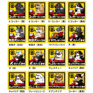 (名前入れ グッズ ちょい悪 犬 マグネット ...の詳細画像2