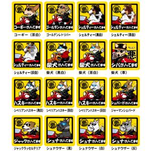 (名前入れ グッズ ちょい悪 犬 マグネット ...の詳細画像3