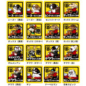 (名前入れ グッズ ちょい悪 犬 マグネット ...の詳細画像4
