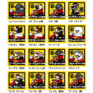 (名前入れ グッズ ちょい悪 犬 マグネット ...の詳細画像5