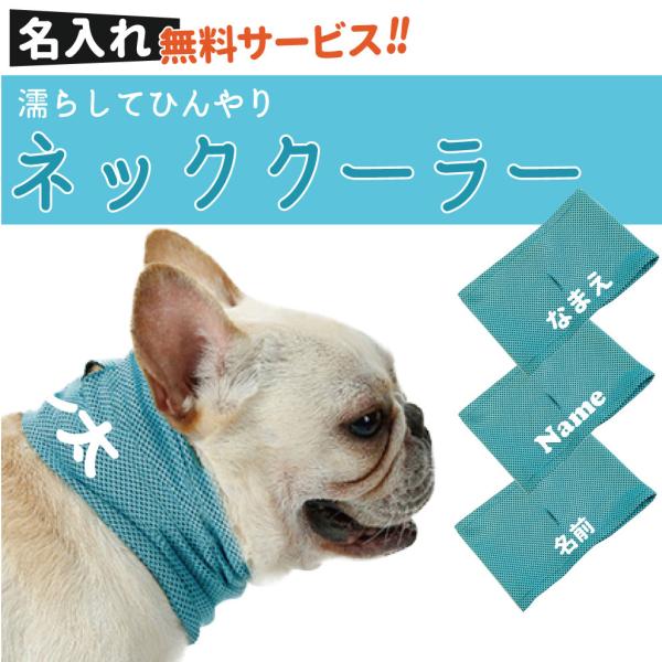 名入れサービス（濡らすだけで ひんやり クール ペット ネッククーラー ） 犬 夏 小型犬 中型犬 ...