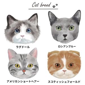Tシャツ 半袖 手描き ネコ デザイン 名前入...の詳細画像2
