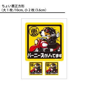 ( 選べる ドッグ ステッカー バーニーズマウ...の詳細画像2