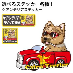 選べる （ ステッカー ケアンテリア ）  オリジナル グッズ 雑貨 ペット 車 カーステッカー 犬屋 いぬや inuya 可愛い かわいい かっこいい カッコイイ ゆるい｜inuya