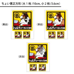 ( 選べる ドッグ ステッカー シェルティー ...の詳細画像2