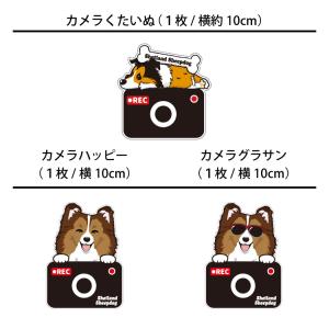 ( 選べる ドッグ ステッカー シェルティー ...の詳細画像5