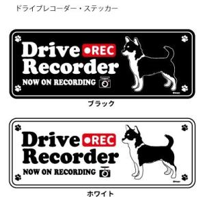 ステッカー （英語)  ドラレコ シルエット セット 大1枚小2枚 ）チワワ （黒） 超小型犬  犬...