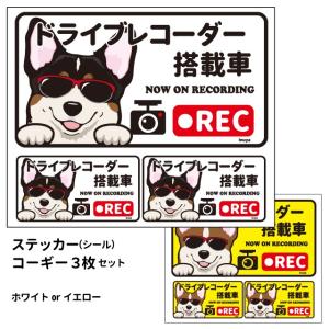 ステッカー （日本語) ドラレコ グラサン 大1枚小2枚 ） 長方形  コーギー シール 犬屋 オリジナル 犬 ドッグ ドラレコ
