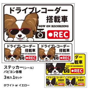 ステッカー （(日本語) ドラレコ グラサン 大1枚小2枚