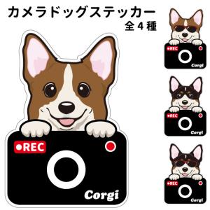 カメラ ドッグ ステッカー 切り抜きタイプ コー...の商品画像