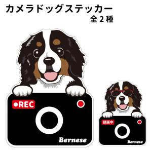 カメラ ドッグ ステッカー 切り抜きタイプ バーニーズ 犬 ドライブレコーダー かわいい 車用 ドラレコ あおり運転 防止 窓 録画 おでかけ 可愛い 犬屋 いぬや
