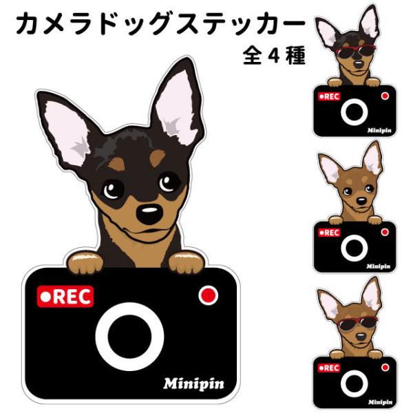 ステッカー （ カメラ ハッピー グラサン ） ミニピン  犬  ドライブレコーダー かわいい 車用...