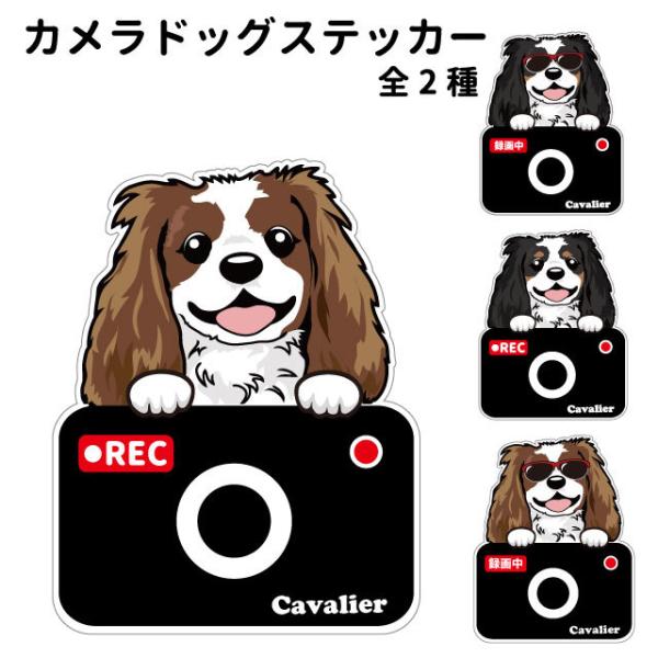 ステッカー （ カメラ ハッピー グラサン ） キャバリア 犬  ドライブレコーダー かわいい 車用...