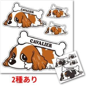 キャバリア 雑貨の商品一覧 通販 Yahoo ショッピング