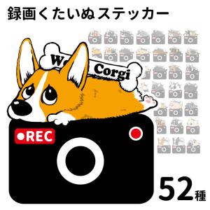 ステッカー ( カメラ くたいぬ ) 犬 犬屋 ...の商品画像