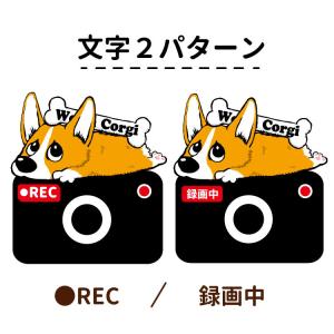 ステッカー ( カメラ くたいぬ ) 犬 犬屋...の詳細画像1