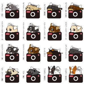 ステッカー ( カメラ くたいぬ ) 犬 犬屋...の詳細画像3