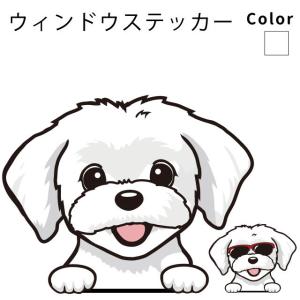 マルチーズ 商品一覧 犬屋 Yahoo 店 売れ筋通販 Yahoo ショッピング