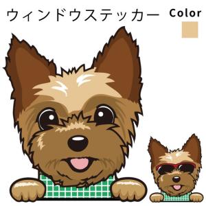 ヨークシャーテリア 犬屋 商品一覧 犬屋 Yahoo 店 売れ筋通販 Yahoo ショッピング