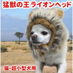 猫・チワワ 超小型犬対応 ライオン ウィッグ カツラ
