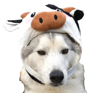 牛 グッズの商品一覧 通販 Yahoo ショッピング