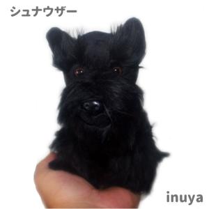 （  ） ミニチュア シュナウザー ブラック （ 黒 Sサイズ