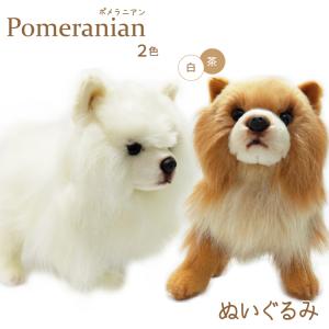 しらたま】ポメラニアンもち ふわふわぬいぐるみ : トレカショップ